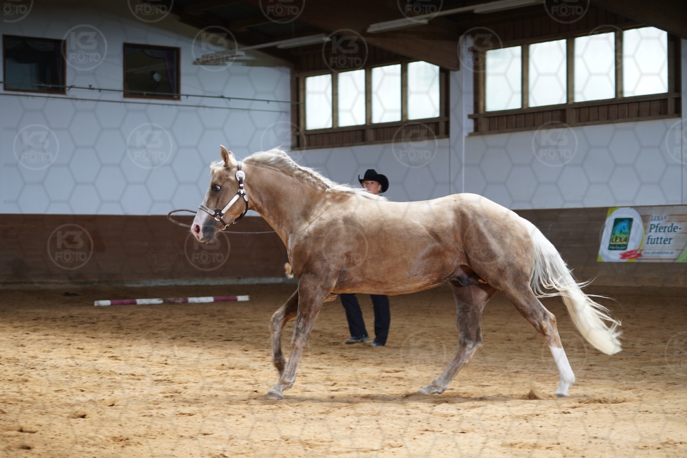 s_A9_04340.jpg